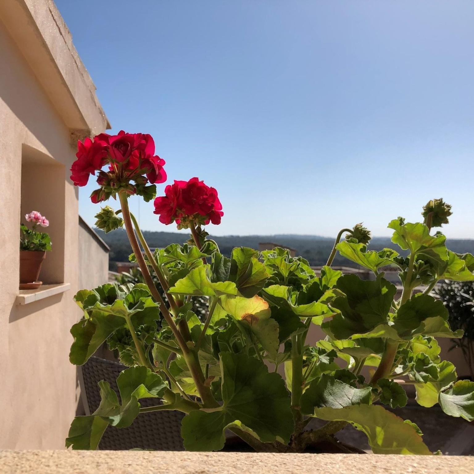 Double Room Terrace