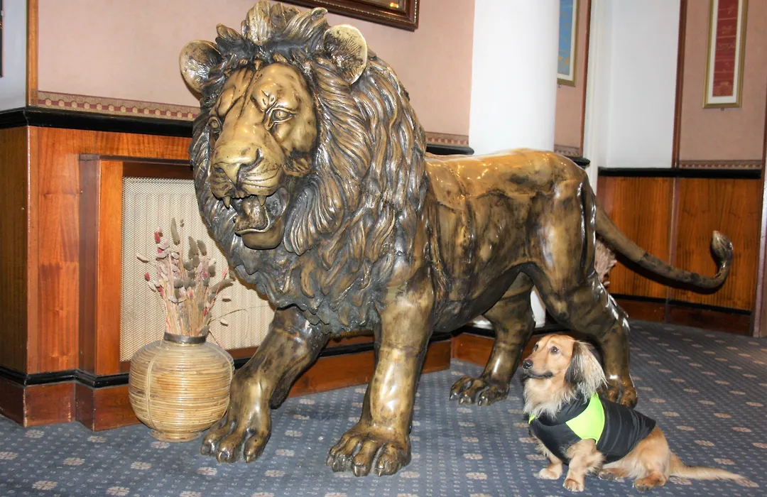 Mitre House Hotel-1