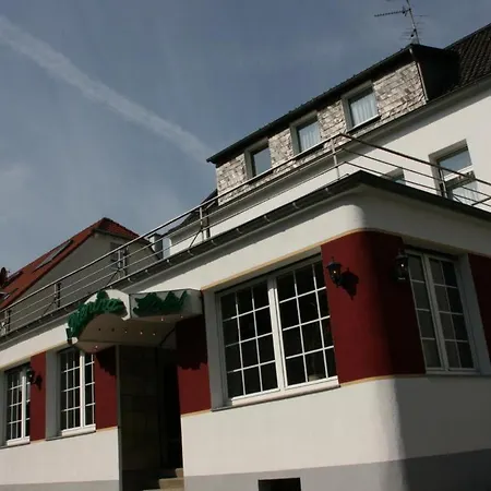 Hotel Diening-3